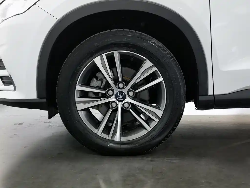BYD Pro — миниатюра 17