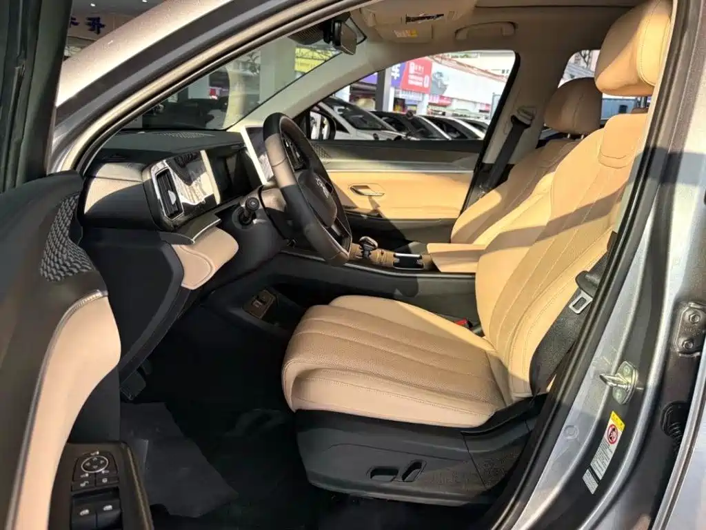 BYD Pro New Energy — миниатюра 3