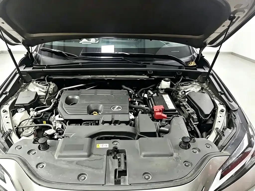 Lexus NX — миниатюра 4