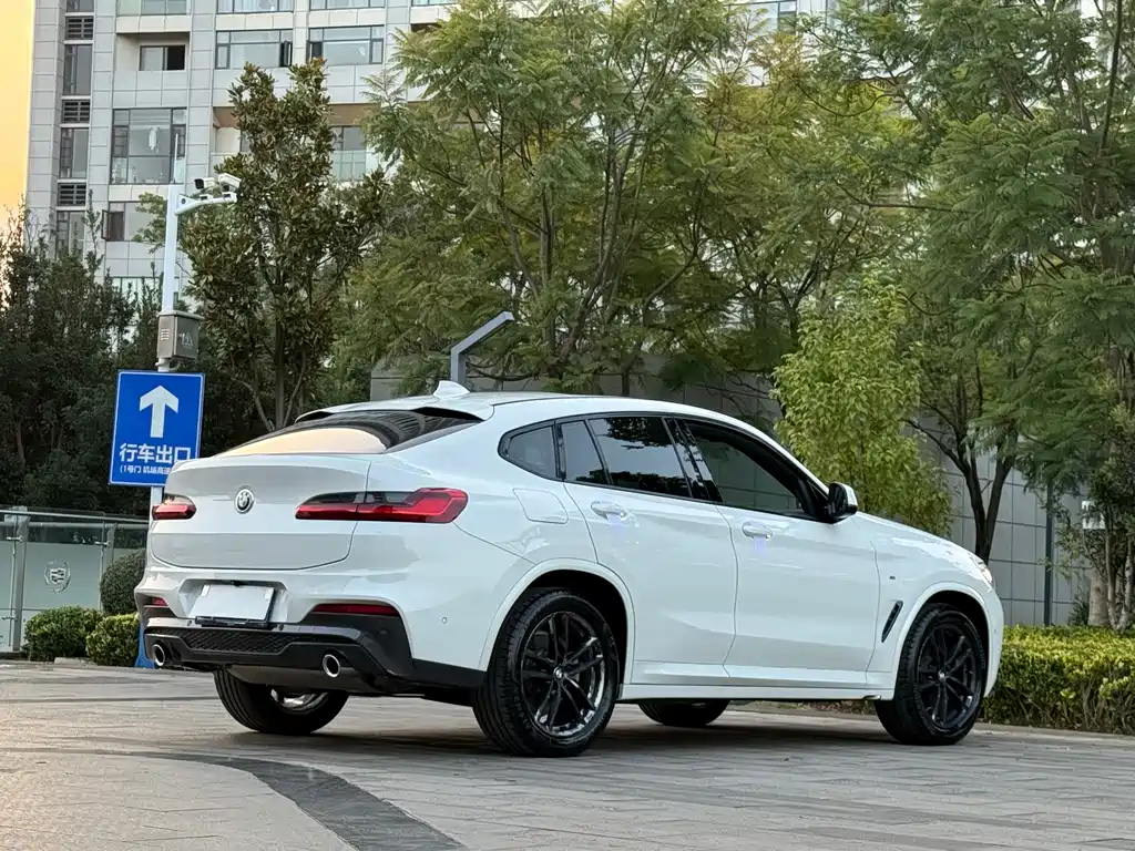 BMW X4 2019 xDrive25i M Sport