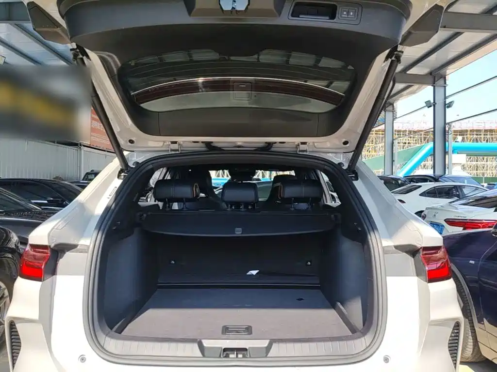 BYD PLUS New Energy — миниатюра 19