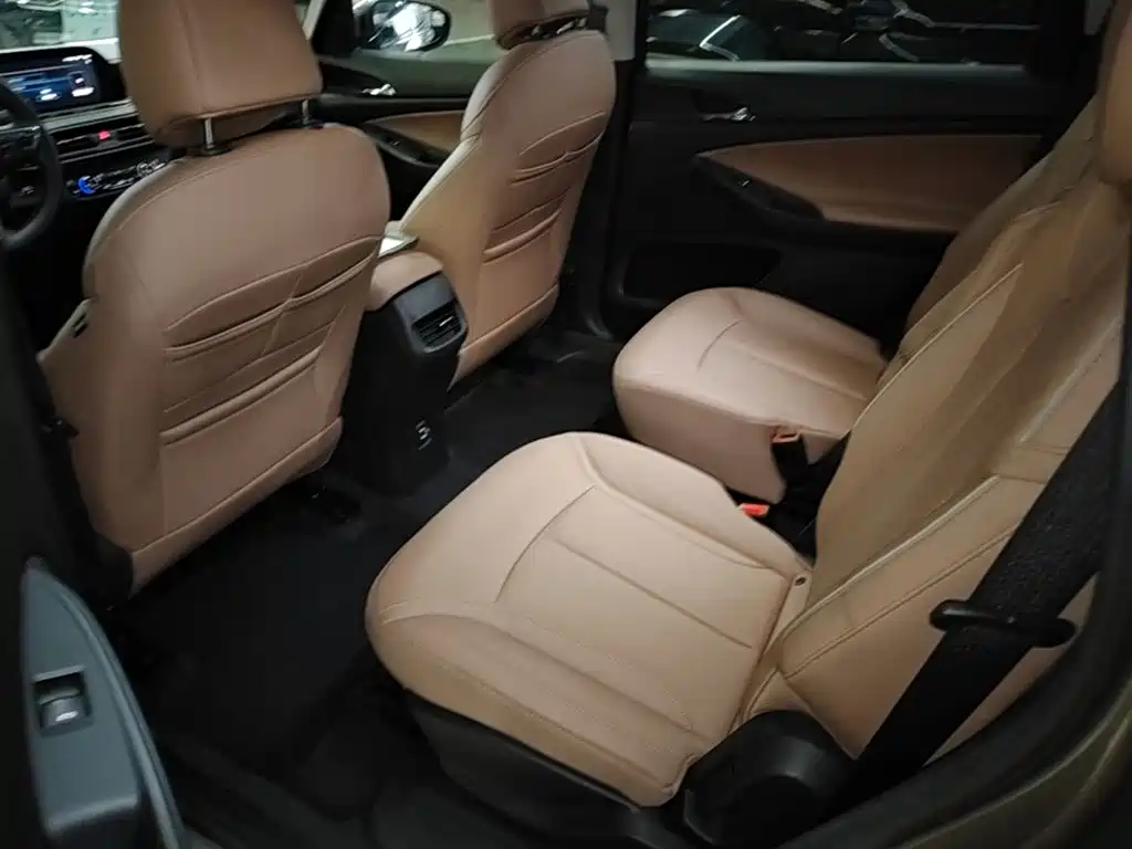 Buick GL6 — миниатюра 17