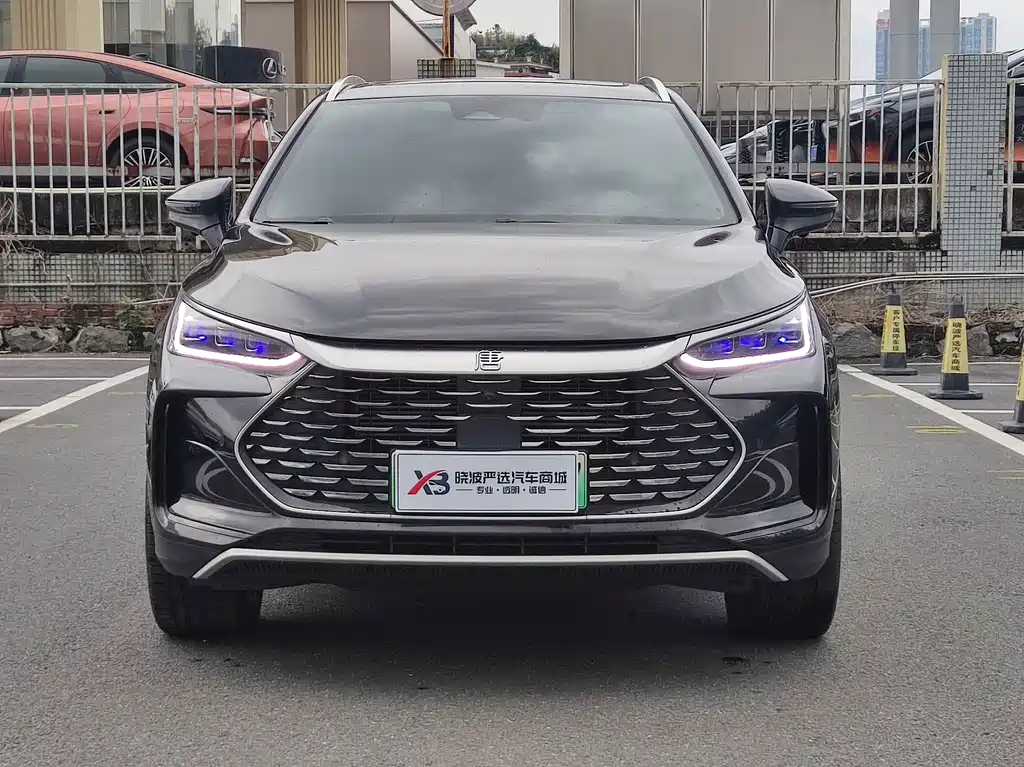 BYD Tang New Energy — миниатюра 2