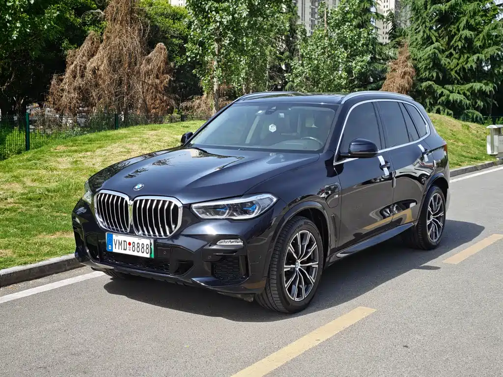 BMW X5 New Energy (Import) 2021