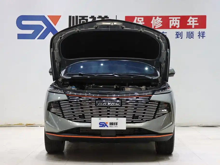 Haval Shenshou — миниатюра 18
