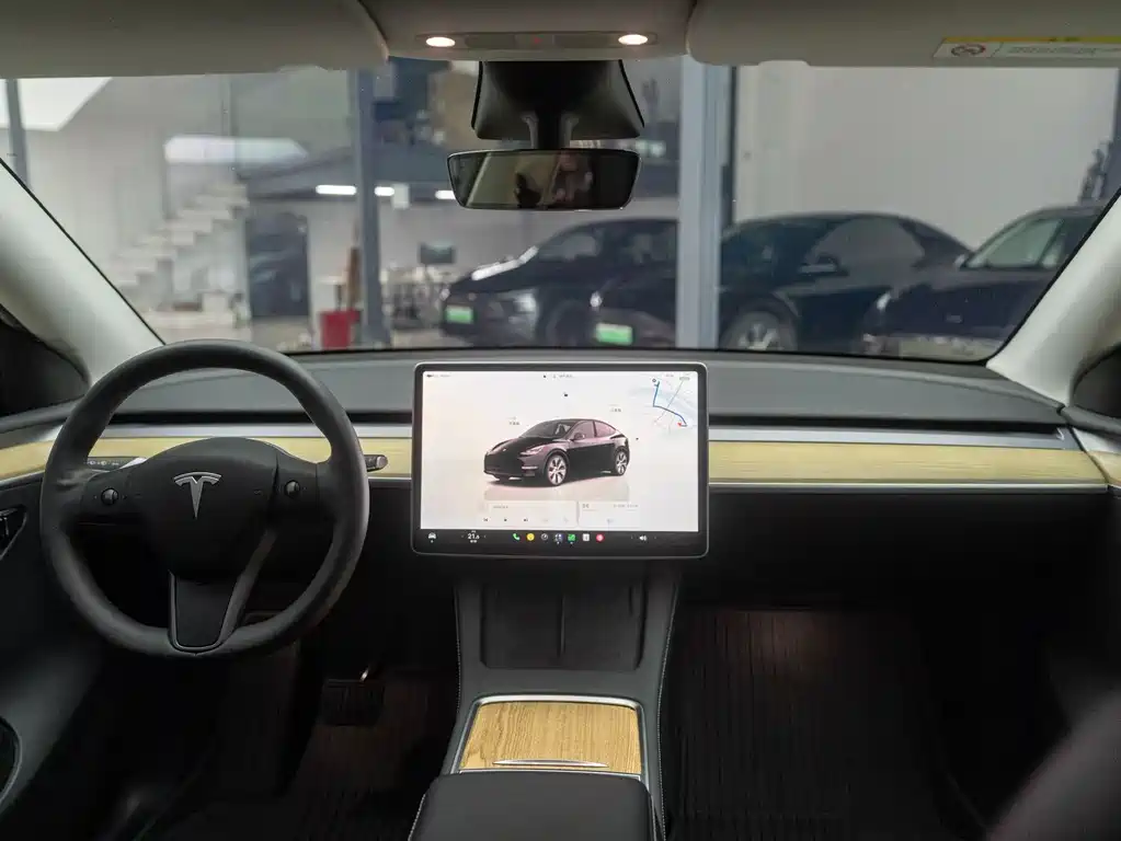 Tesla Model Y — миниатюра 12