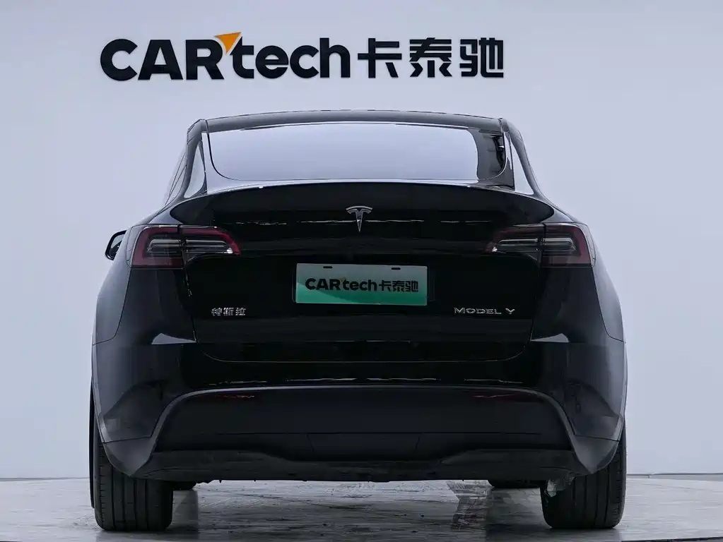 Tesla Model Y — миниатюра 3