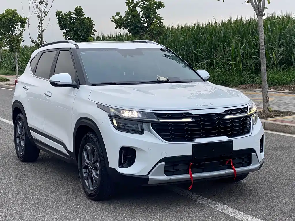 Kia Seltos — миниатюра 3