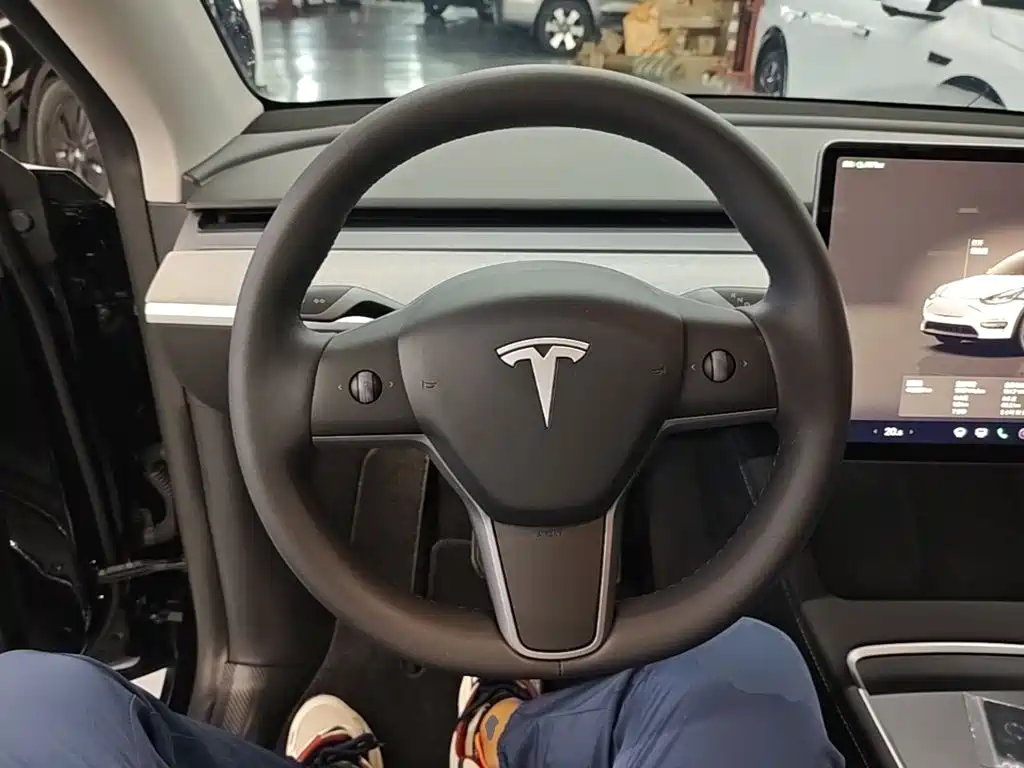 Tesla Model Y — миниатюра 11