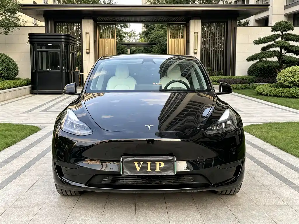 Tesla Model Y — миниатюра 2
