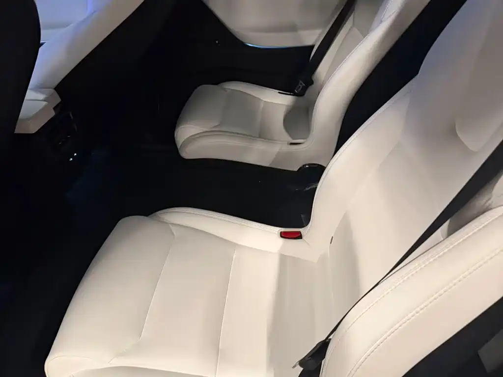 Tesla Model X — миниатюра 4