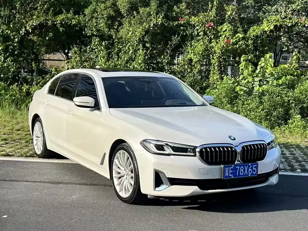BMW 5 Series — миниатюра 2