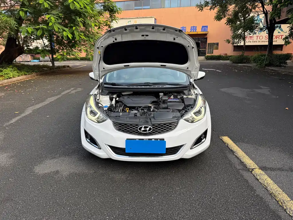 Hyundai Elantra Langdong — миниатюра 14