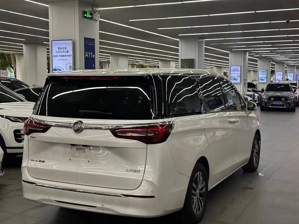 Buick GL8 — миниатюра 9