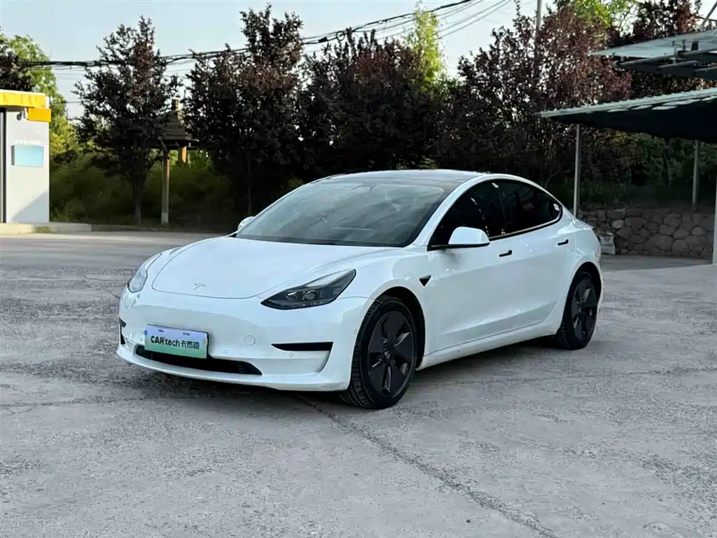 Tesla Model 3 2021