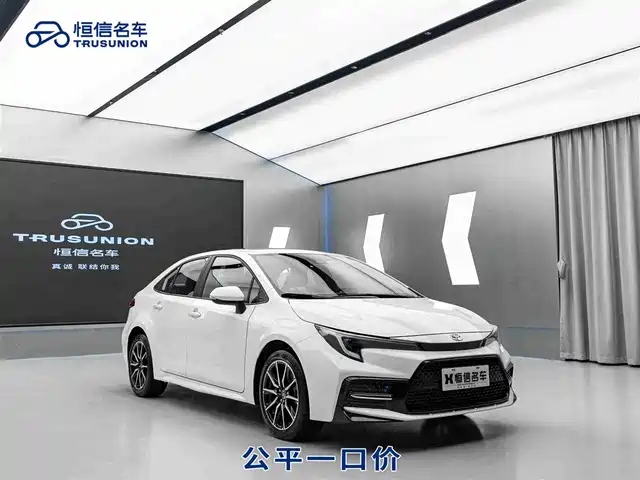 TOYOTA LEI LING 2024