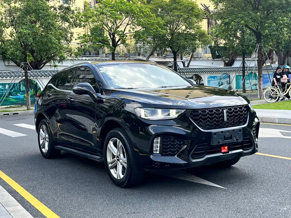 WEI PAI WEI BRAND VV5