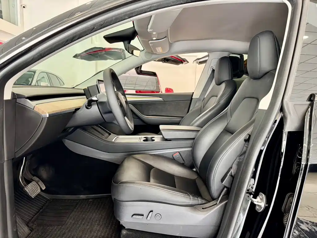 Tesla Model Y — миниатюра 5