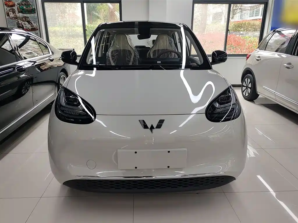 Wuling Binguo 2025 333km Enjoy