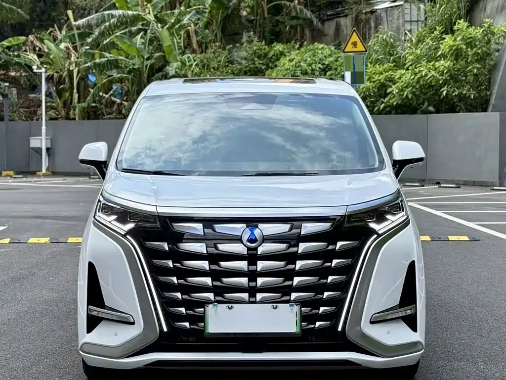 Denza Denza D9 — миниатюра 2