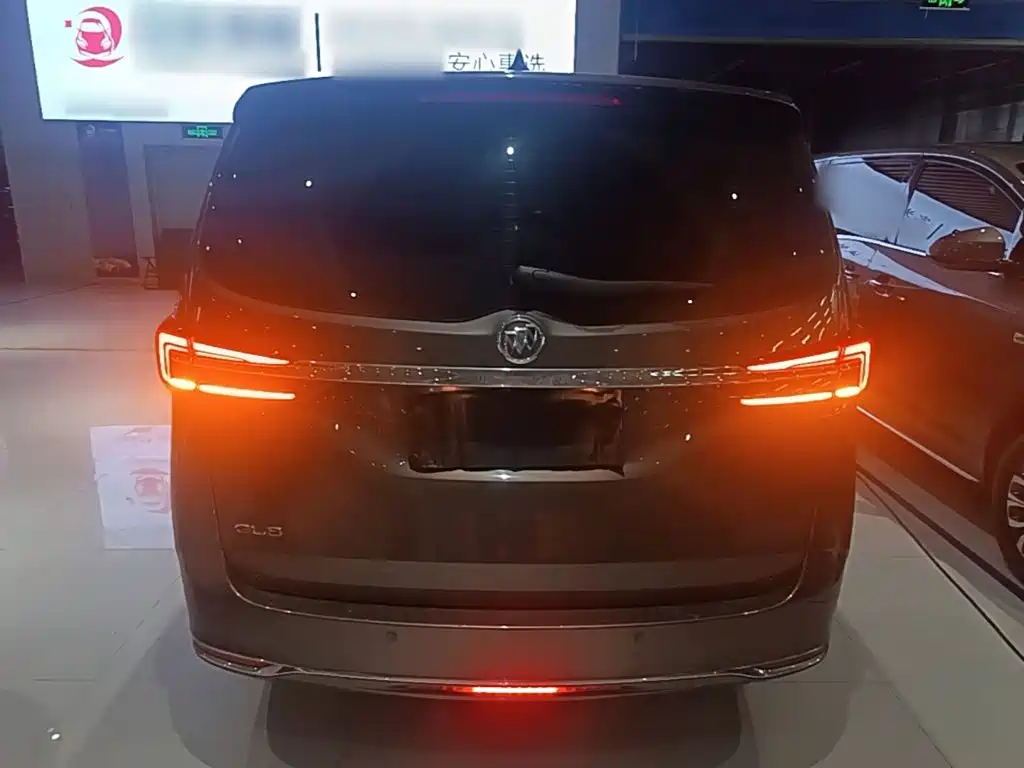 Buick GL8 — миниатюра 6