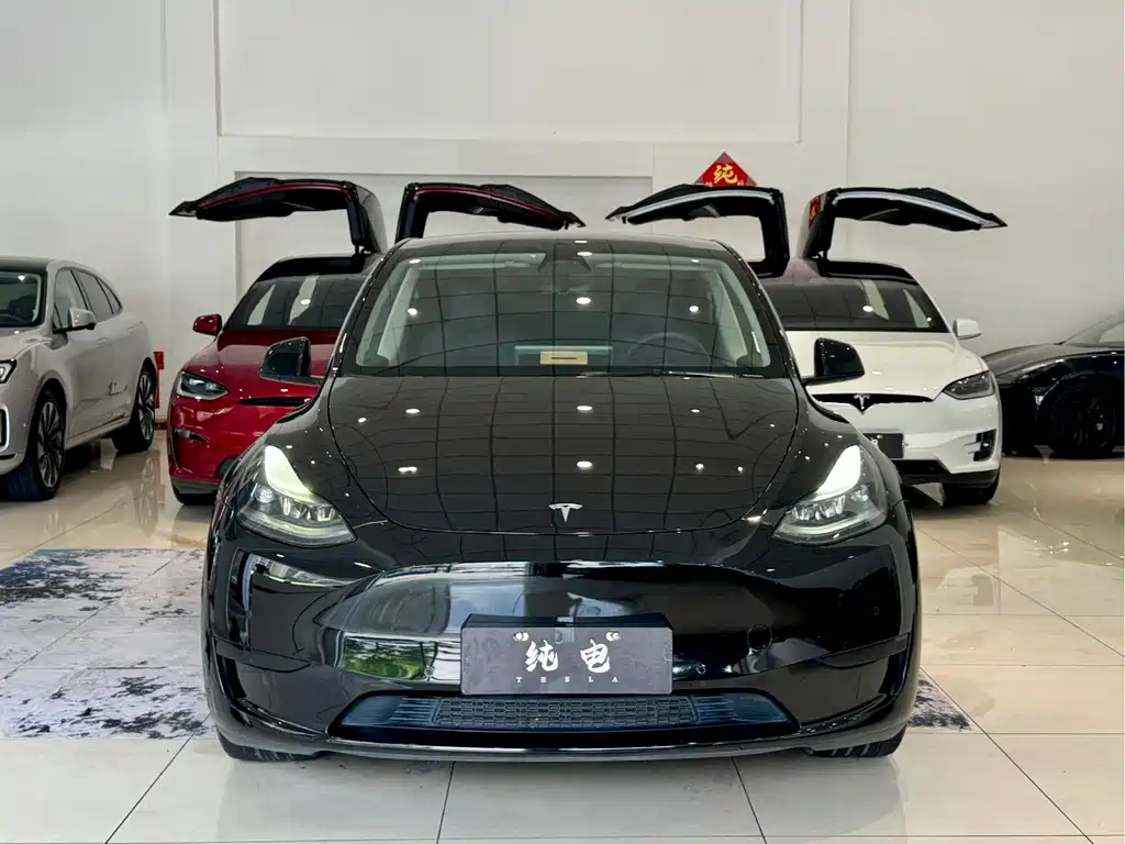 Tesla Model Y — миниатюра 2