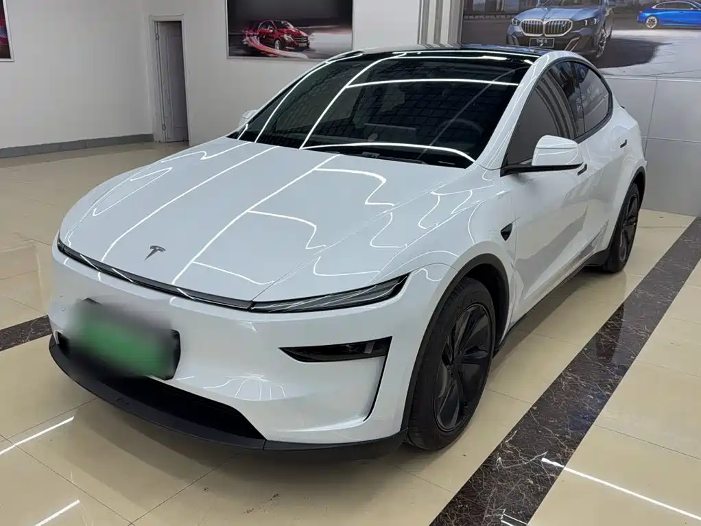 Tesla Model Y — миниатюра 2