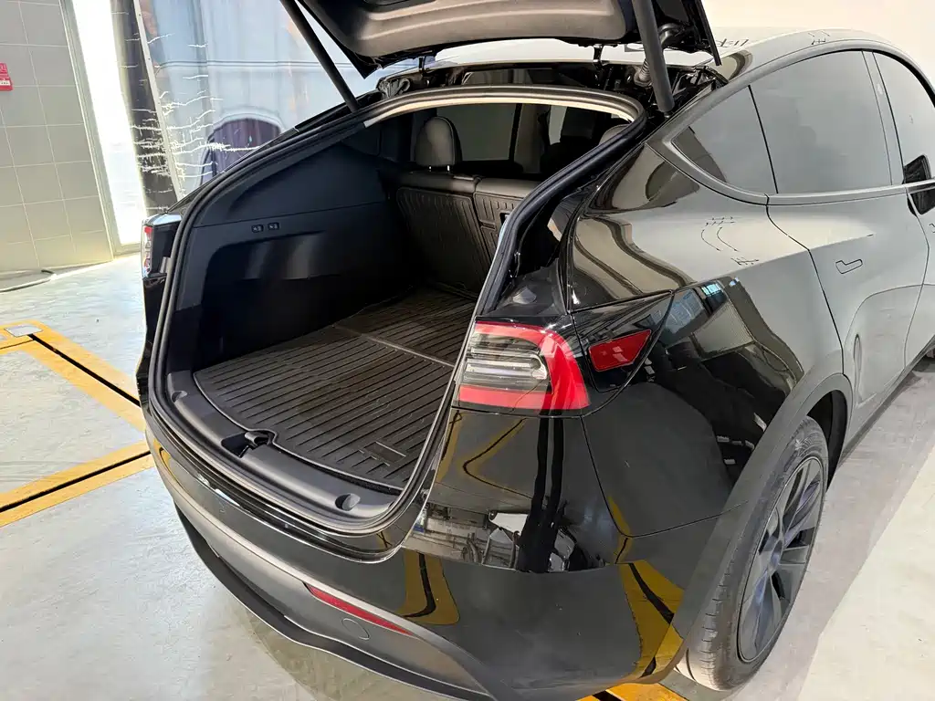 Tesla Model Y — миниатюра 15
