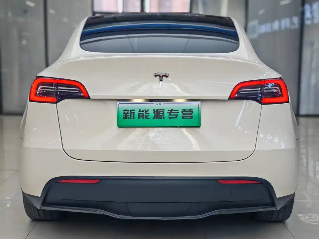 Tesla Model Y — миниатюра 8