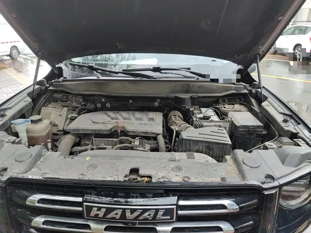 Haval Big Dog — миниатюра 16