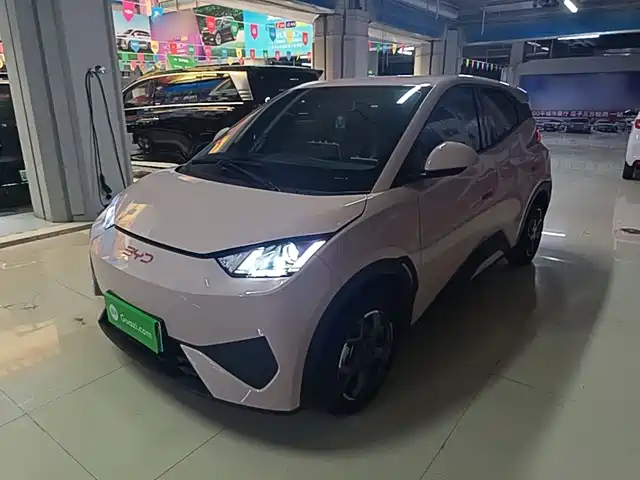 2025 BYD Seagull