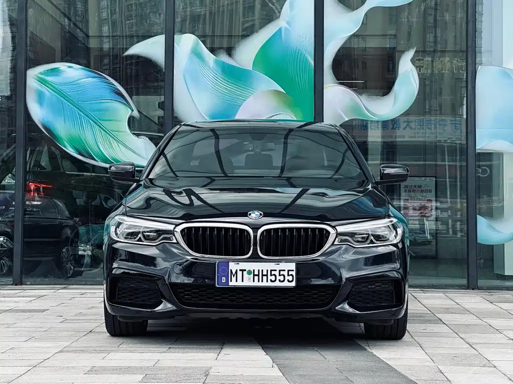BMW 5 Series — миниатюра 2