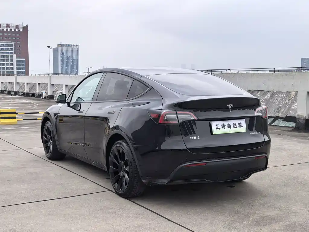 Tesla Model Y — миниатюра 7
