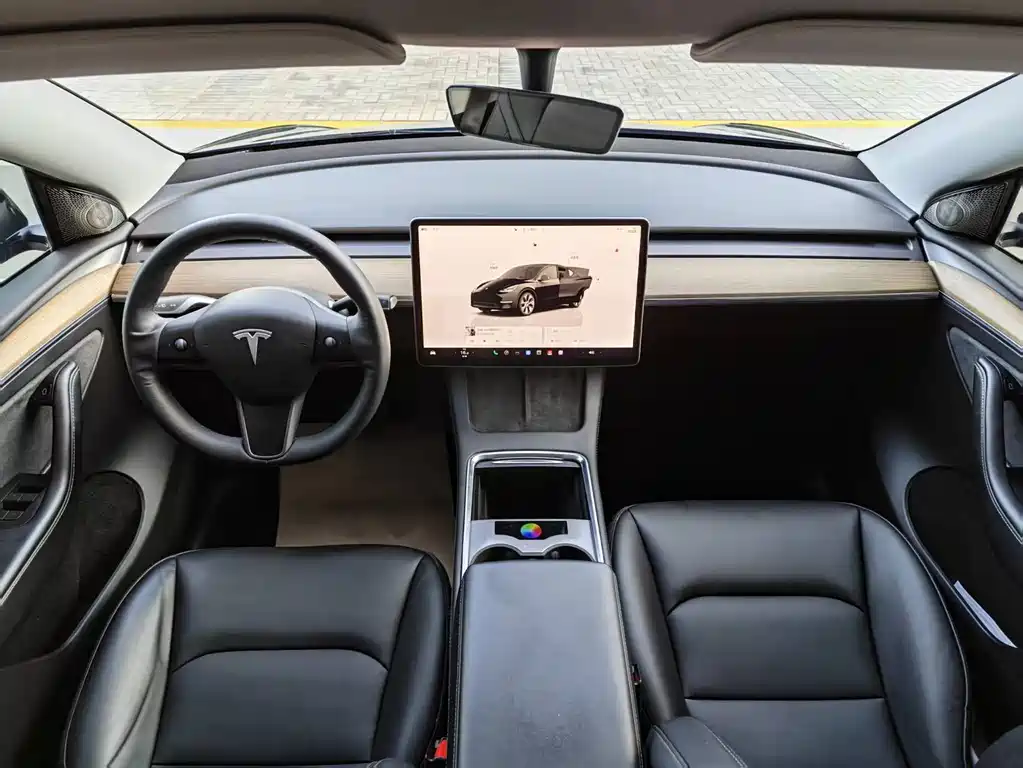 Tesla Model Y — миниатюра 5