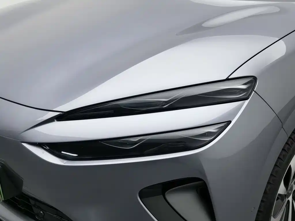 BYD Haisi 06 — миниатюра 7