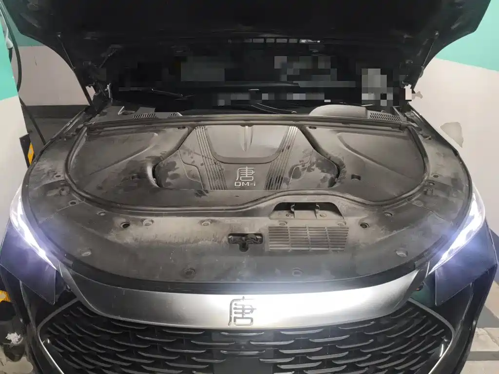 BYD Tang New Energy — миниатюра 21