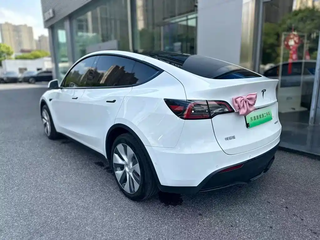 Tesla Model Y — миниатюра 2