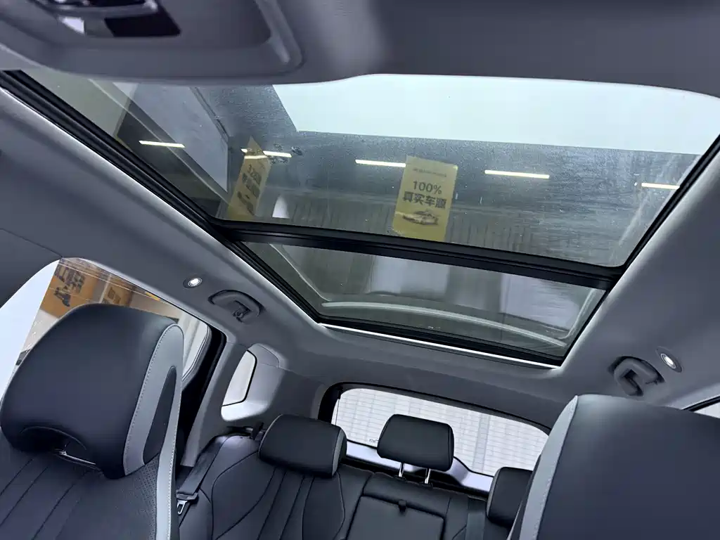 BYD SEA LION 05 DM I