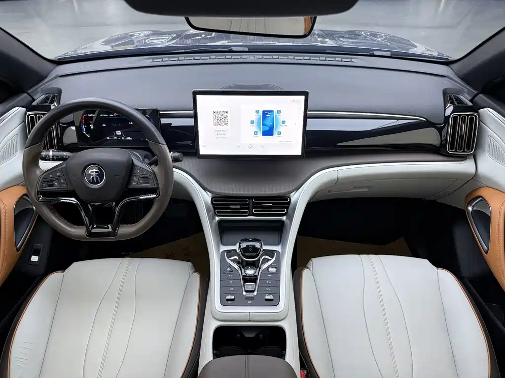 BYD Pro New Energy — миниатюра 7