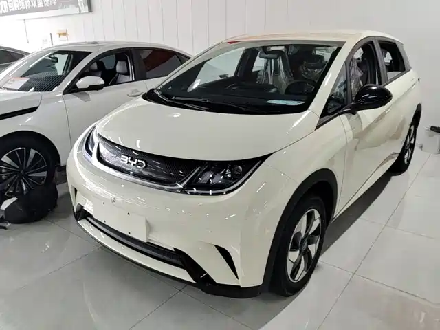 2026 BYD Dolphin