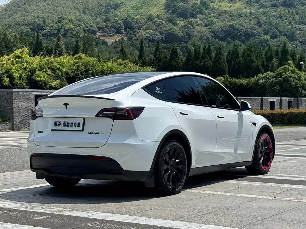 Tesla Model Y — миниатюра 5
