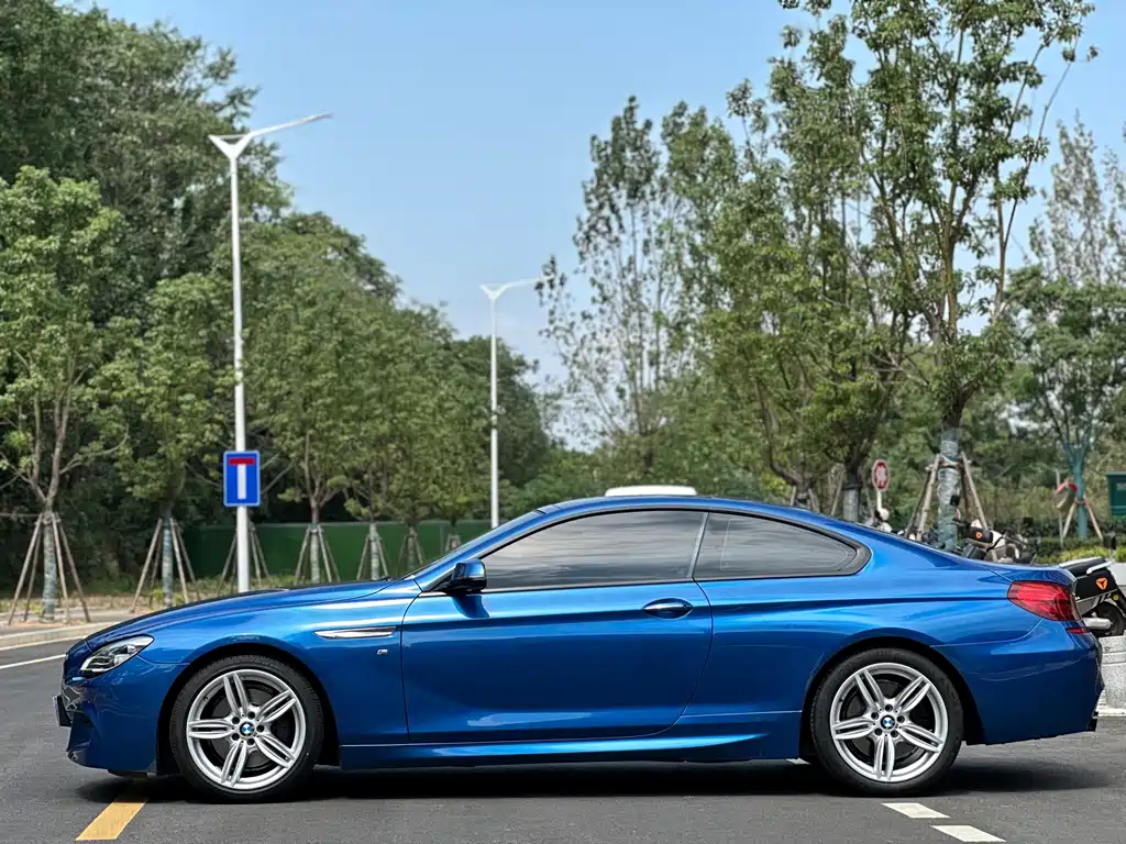 BMW 6 Series — миниатюра 12