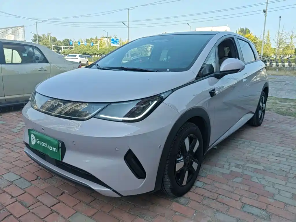 BYD Dolphin — миниатюра 2