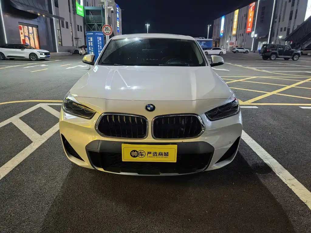 BMW X2 — миниатюра 2