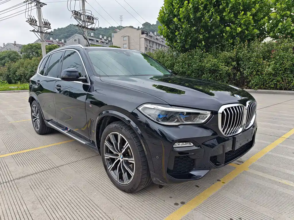 BMW X5 (Import) — миниатюра 3