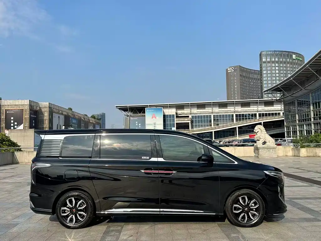 Hongqi Hongqi HQ9 — миниатюра 5