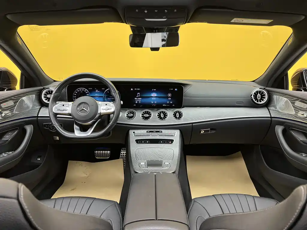 Mercedes-Benz CLS 2020 CLS 300 Luxury