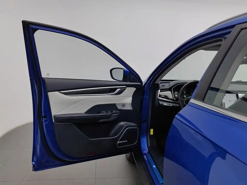 WM Motor EX5 — миниатюра 8