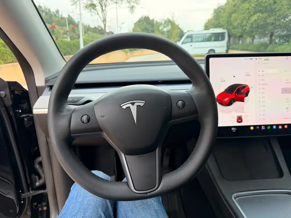 Tesla Model Y — миниатюра 19