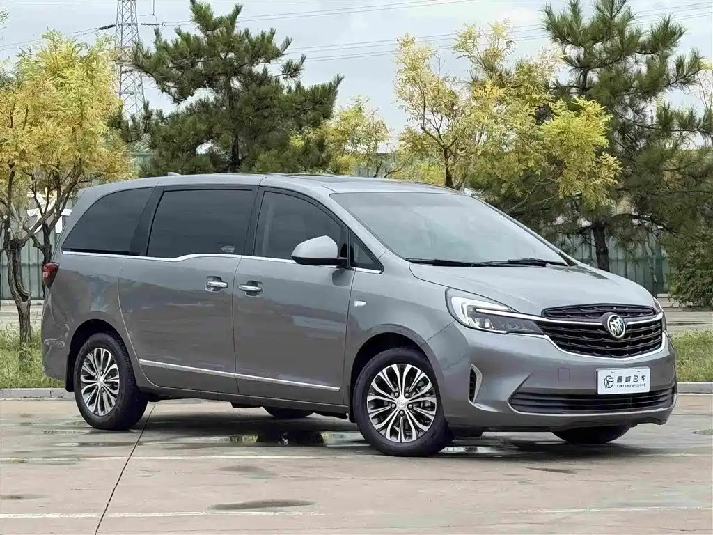 Buick GL8 — миниатюра 3